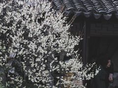 -艺圃