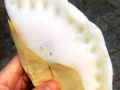 烧饵块-杨记乳扇·雕梅