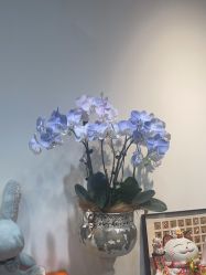 -QHOUSE美甲美睫