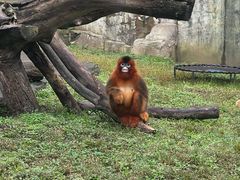 -大连森林动物园