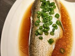 -小厨娘金榜题名(夫子庙秦淮河店)