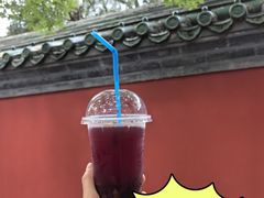 -北京国子监胡同