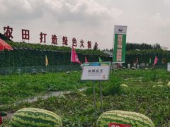 -长春农业博览园