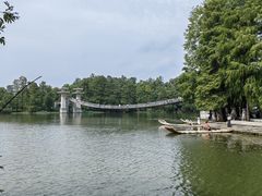 -东湖落雁景区