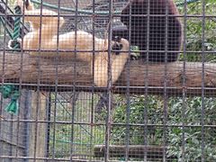 -上海动物园(地铁站)