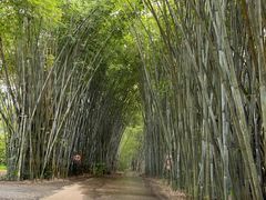 -海南热带野生动植物园