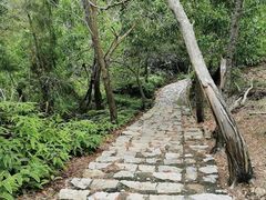 -广东惠东海龟国家级自然保护区