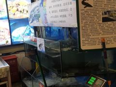 -粗粮人家·东北菜(洋桥店)