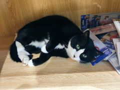 -星巴克臻选(重庆沙坪坝店)