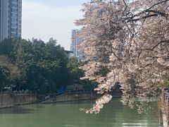 -红星桥(地铁站)