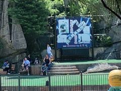 -梦幻奥陶纪景区