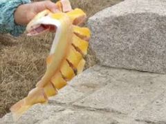 -老李客栈民宿餐厅