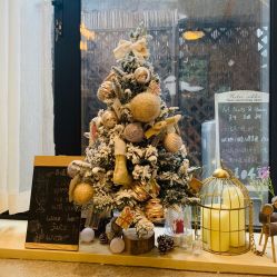 -M Nails & Beauty美甲美睫美体