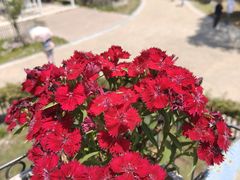 -同里国家湿地公园