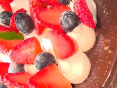 -维尔纳斯·生日蛋糕·动物奶油冰淇淋蛋糕(六里桥店)