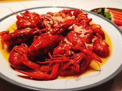 -杨氏青龙虾·羊蝎子(托乐嘉店)