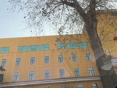 -东北师范大学附属中学(自由校区)