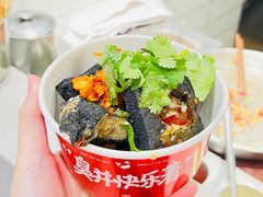 -黑色经典臭豆腐·湖南特产(太平街口店)