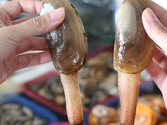 -四川小胡子海鲜(丁村万人海鲜广场店)