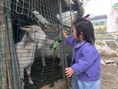 -小鱼草莓采摘园农家乐·小鱼餐厅