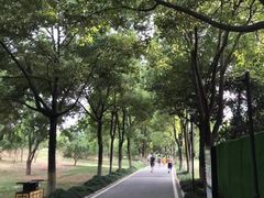 -堤角公园