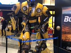 -万达影城(闵行颛桥万达广场杜比影院店)