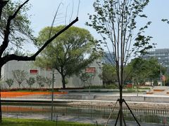 -大望京公园