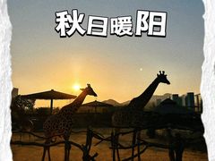 -杭州野生动物世界