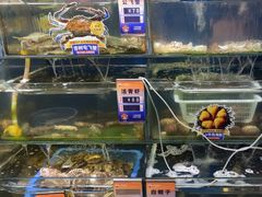 -小船渔村•大连菜•大连焖鱼(明泽街店)