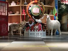 -老阿妈蒙古村·蒙古包·草原文化·歌舞表演(老君堂店)