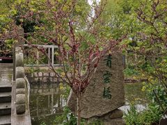 -南汇桃花村