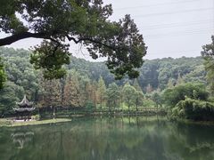 -忠山公园