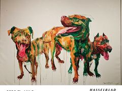 -清华大学艺术博物馆