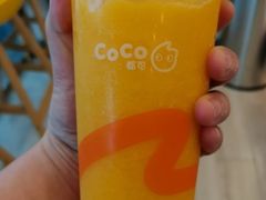 春见柑橘-CoCo都可(大兴店)
