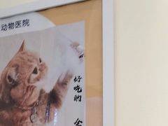 -美迦爱动物医院·夜诊(朝阳路诊疗中心)
