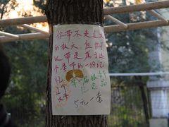 -辽宁大学(崇山校区)
