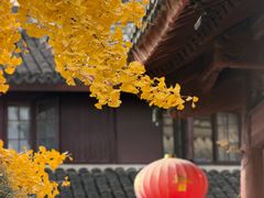 -龙华素斋(龙华路店)