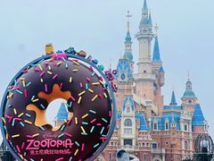 -上海迪士尼度假区