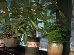 -第五街西餐厅(工农路店)