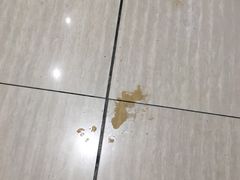 -九毛九西北菜(大东海店)