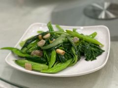 -姚林轩