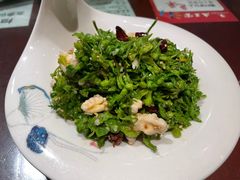 夜来香拌桃仁-清真·老兰家(兴善寺西街总店)