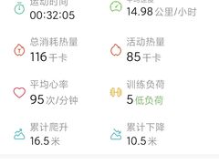 -丁香湖公园