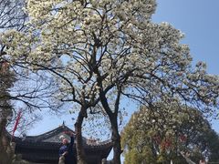 -穹窿山景区