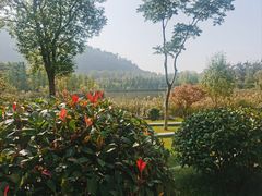 -狼山风景名胜区