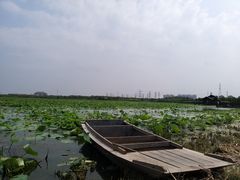 -天津东丽湖风景区
