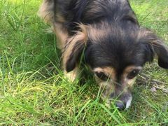 -重庆市江北嘴中央商务区中央公园