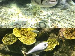 -福州罗源湾海洋世界旅游区