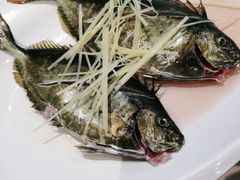 -青蓬蒸汽海鲜·深圳老字号·团建聚会(壹方城店)