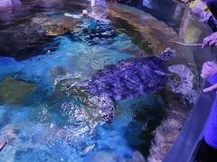 -多彩贵州城极地海洋世界